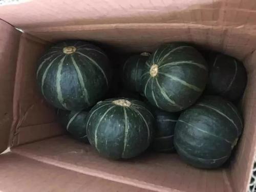 吃瓜给五块钱的网红叫什么,揭秘其爆红背后的故事